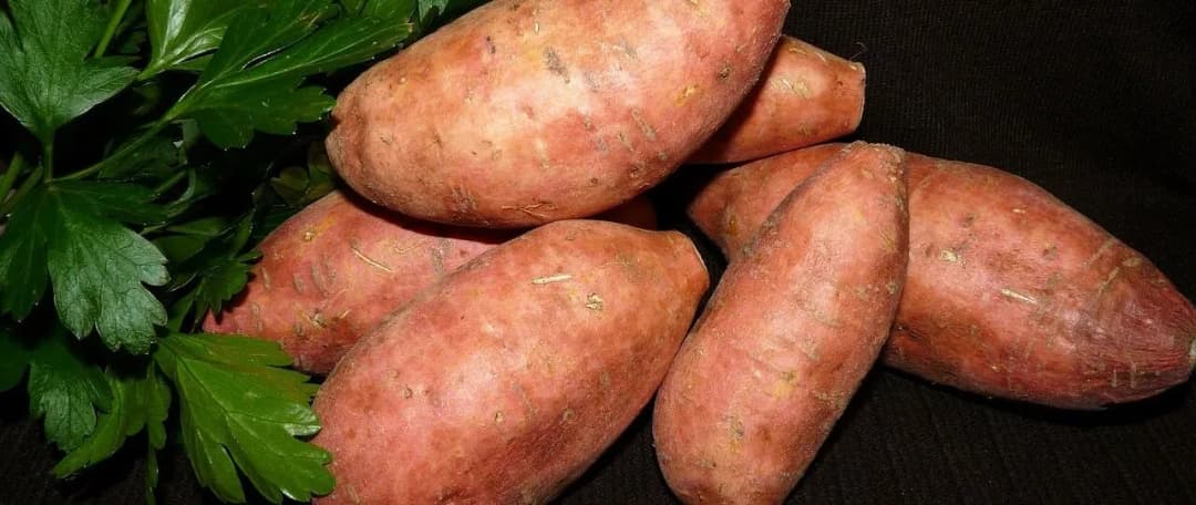 Ile kalorii ma batat? Zaskakujące różnice w wartościach odżywczych